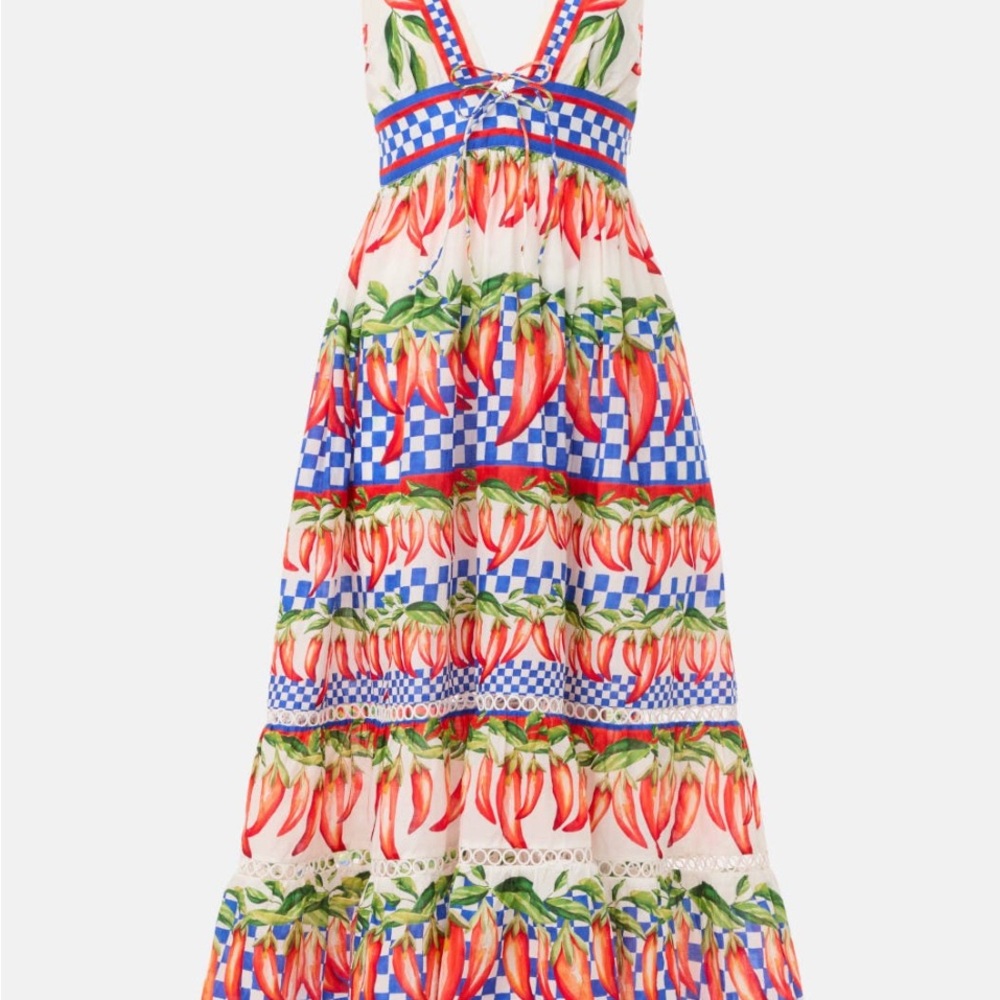 FARM Rio Picnic Peppers Ainika Midi Dress - Picture 2 of 12